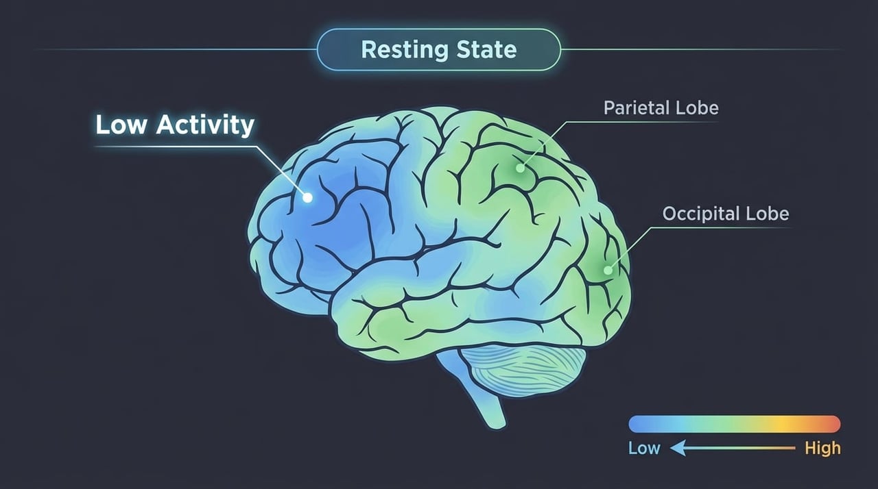 Blue Green Quiet Brain Regions